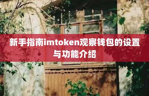 新手指南imtoken观察钱包的设置与功能介绍