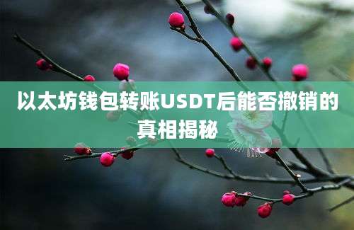 以太坊钱包转账USDT后能否撤销的真相揭秘