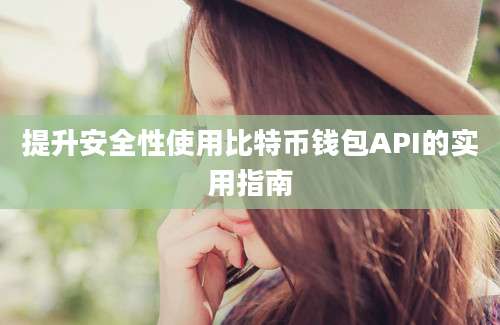 提升安全性使用比特币钱包API的实用指南