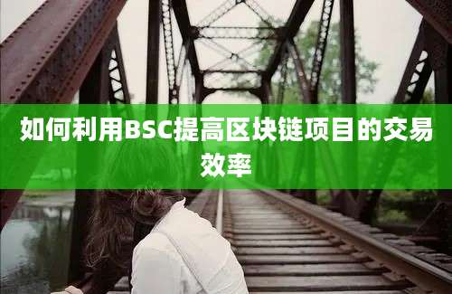 如何利用BSC提高区块链项目的交易效率