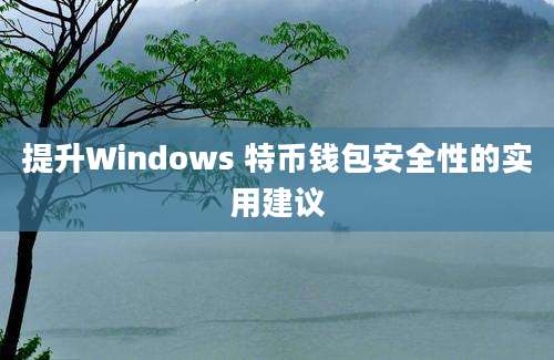 提升Windows 特币钱包安全性的实用建议