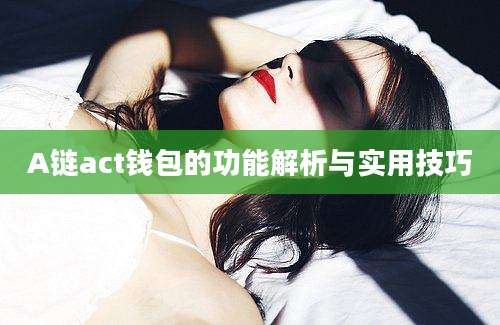 A链act钱包的功能解析与实用技巧