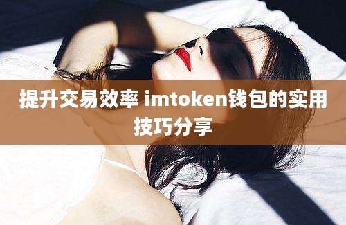 提升交易效率 imtoken钱包的实用技巧分享