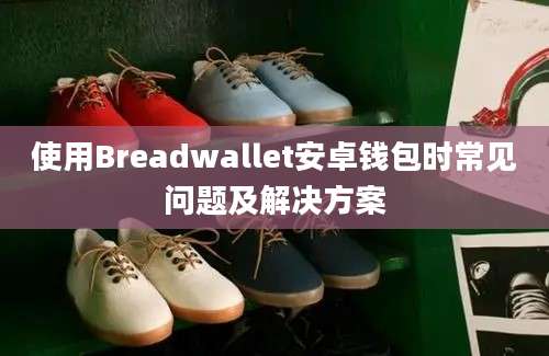 使用Breadwallet安卓钱包时常见问题及解决方案