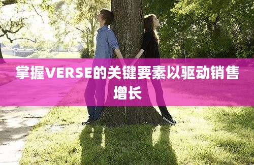 掌握VERSE的关键要素以驱动销售增长