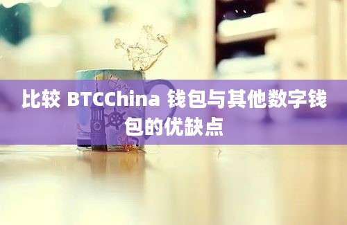 比较 BTCChina 钱包与其他数字钱包的优缺点