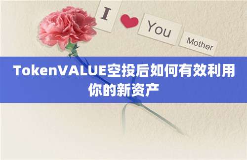 TokenVALUE空投后如何有效利用你的新资产