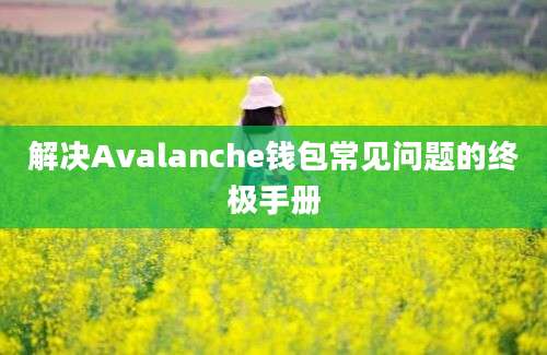 解决Avalanche钱包常见问题的终极手册