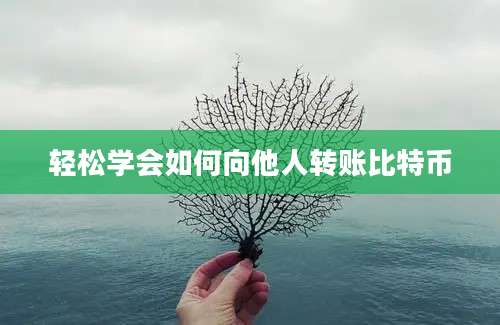 轻松学会如何向他人转账比特币