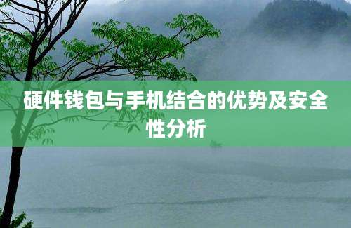 硬件钱包与手机结合的优势及安全性分析