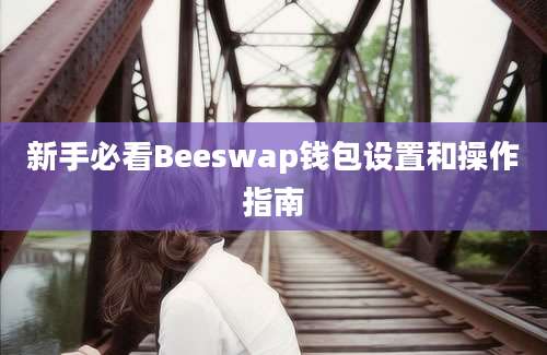 新手必看Beeswap钱包设置和操作指南