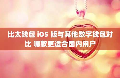 比太钱包 iOS 版与其他数字钱包对比 哪款更适合国内用户