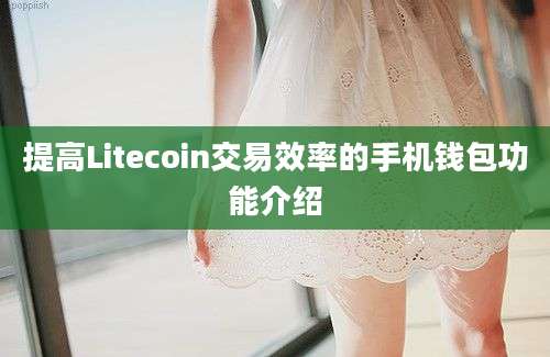 提高Litecoin交易效率的手机钱包功能介绍