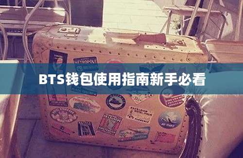 BTS钱包使用指南新手必看