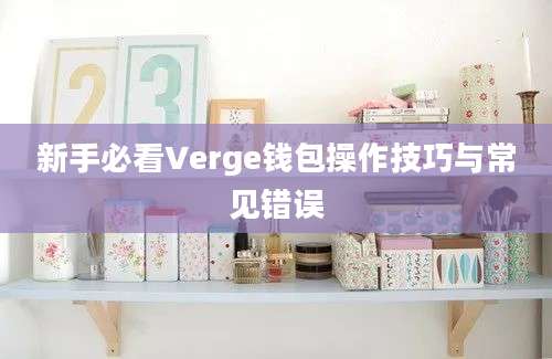 新手必看Verge钱包操作技巧与常见错误