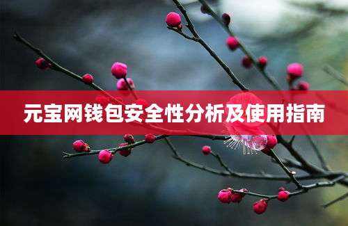 元宝网钱包安全性分析及使用指南