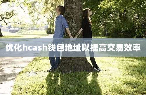 优化hcash钱包地址以提高交易效率