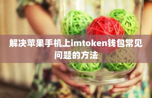 解决苹果手机上imtoken钱包常见问题的方法