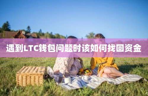 遇到LTC钱包问题时该如何找回资金