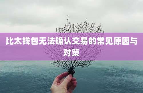 比太钱包无法确认交易的常见原因与对策