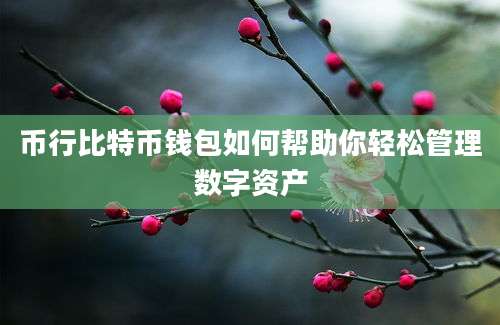 币行比特币钱包如何帮助你轻松管理数字资产