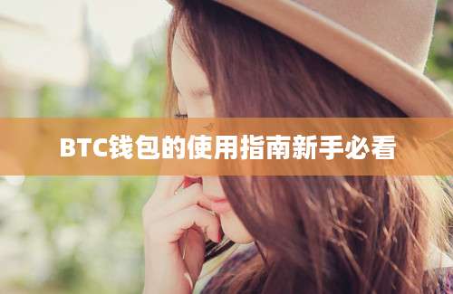 BTC钱包的使用指南新手必看