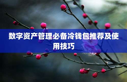 数字资产管理必备冷钱包推荐及使用技巧