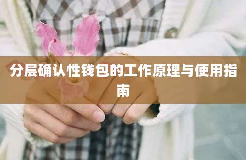 分层确认性钱包的工作原理与使用指南