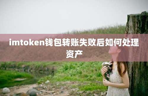 imtoken钱包转账失败后如何处理资产