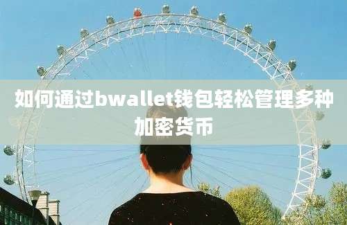 如何通过bwallet钱包轻松管理多种加密货币