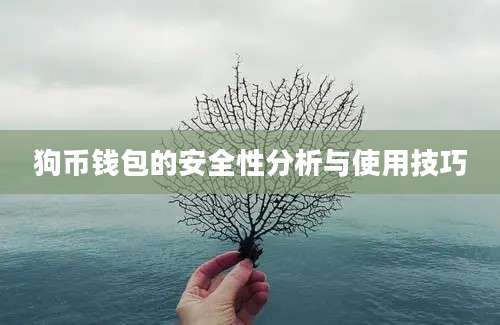 狗币钱包的安全性分析与使用技巧