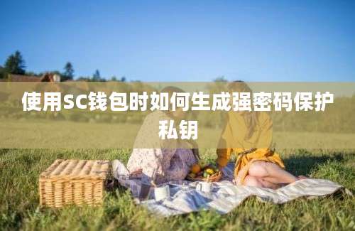 使用SC钱包时如何生成强密码保护私钥