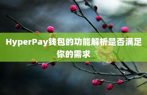 HyperPay钱包的功能解析是否满足你的需求