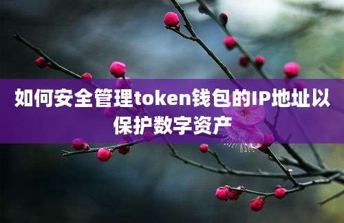 如何安全管理token钱包的IP地址以保护数字资产