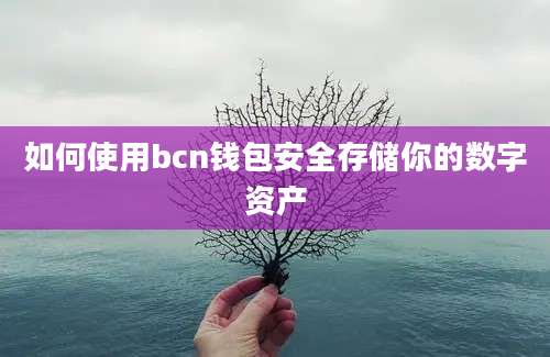 如何使用bcn钱包安全存储你的数字资产