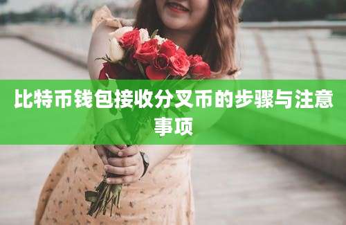 比特币钱包接收分叉币的步骤与注意事项