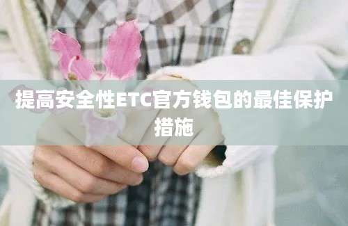 提高安全性ETC官方钱包的最佳保护措施