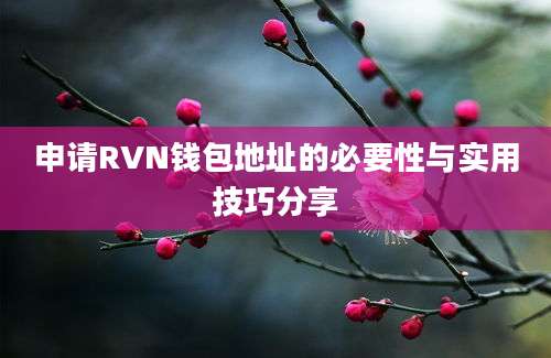 申请RVN钱包地址的必要性与实用技巧分享