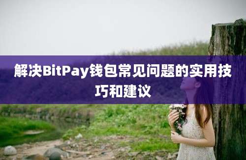 解决BitPay钱包常见问题的实用技巧和建议