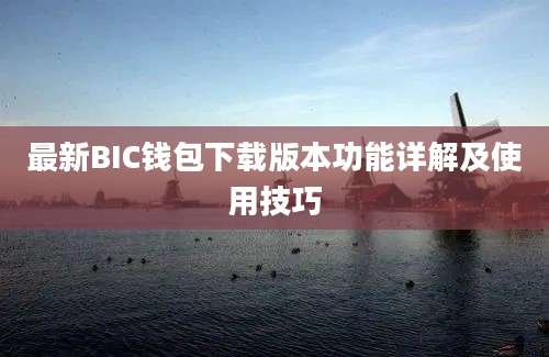 最新BIC钱包下载版本功能详解及使用技巧