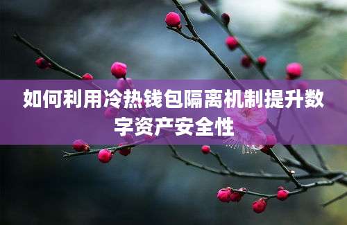 如何利用冷热钱包隔离机制提升数字资产安全性