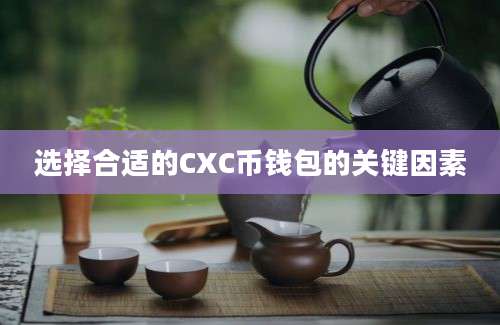 选择合适的CXC币钱包的关键因素