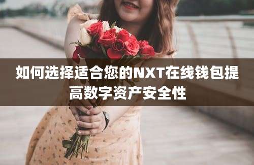 如何选择适合您的NXT在线钱包提高数字资产安全性