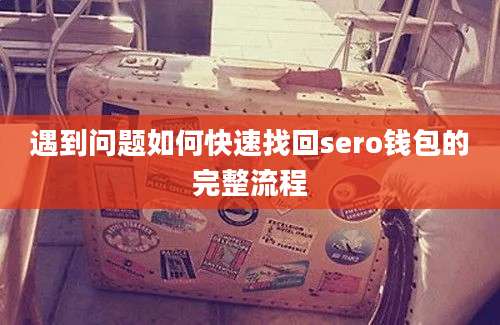 遇到问题如何快速找回sero钱包的完整流程