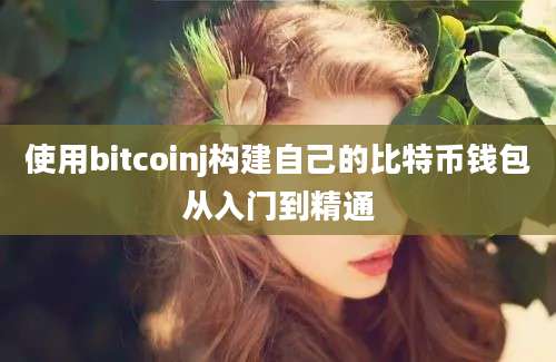 使用bitcoinj构建自己的比特币钱包从入门到精通