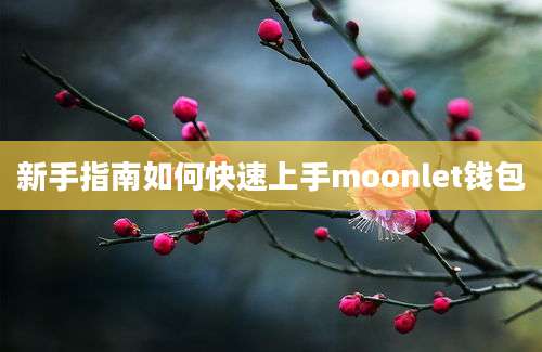 新手指南如何快速上手moonlet钱包