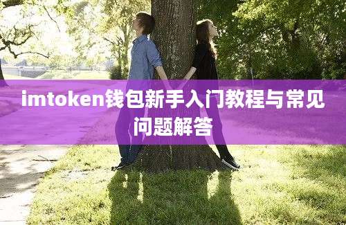 imtoken钱包新手入门教程与常见问题解答