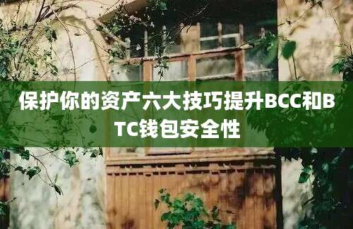 保护你的资产六大技巧提升BCC和BTC钱包安全性