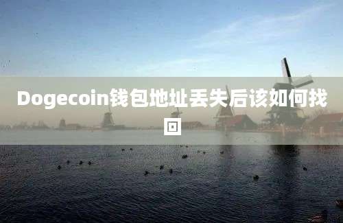 Dogecoin钱包地址丢失后该如何找回