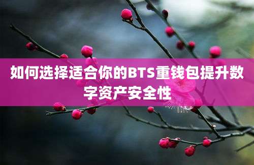 如何选择适合你的BTS重钱包提升数字资产安全性